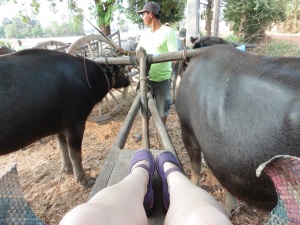 The Ox cart ride from  my point of view ....